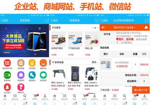 上海正规公司企业网站建设 600全包 送 域名